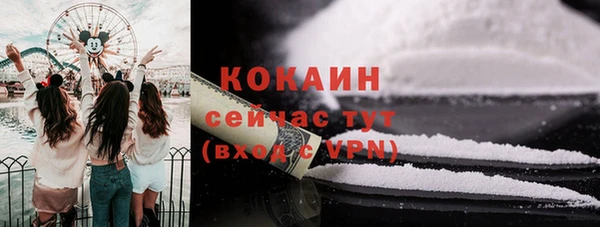 не бодяженный Гусь-Хрустальный