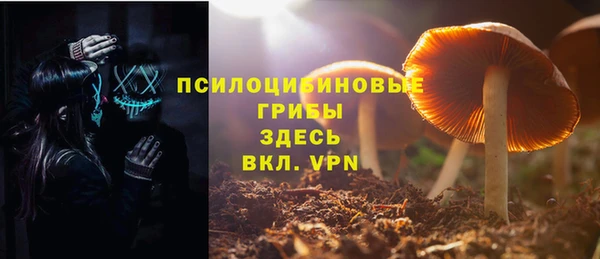 наркотики Гусиноозёрск
