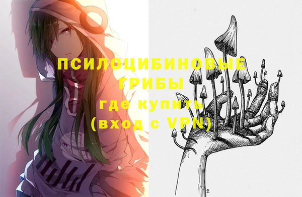 MDMA Гусев