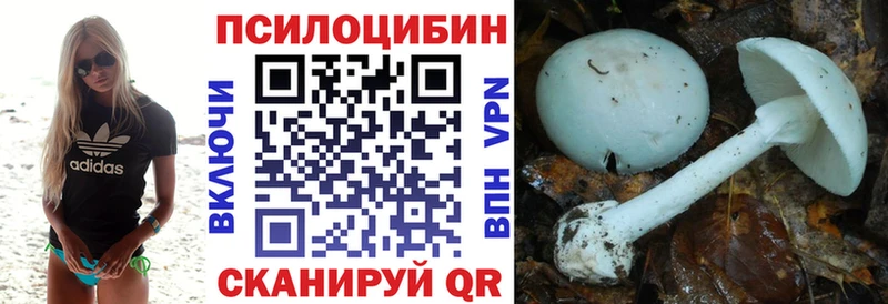 Купить закладки  Валуйки  Псилоцибиновые грибы MAGIC MUSHROOMS 
